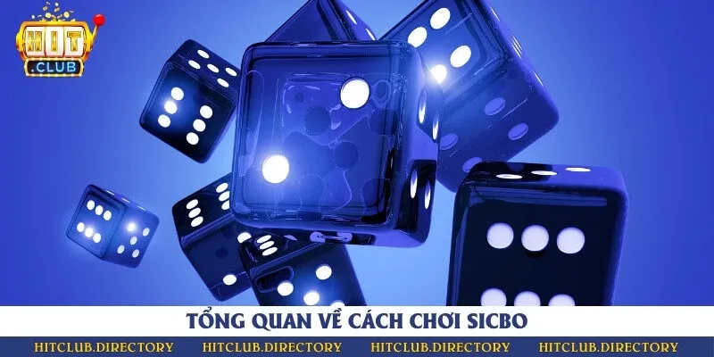 Kết quả chơi sicbo dựa vào 3 viên xúc xắc